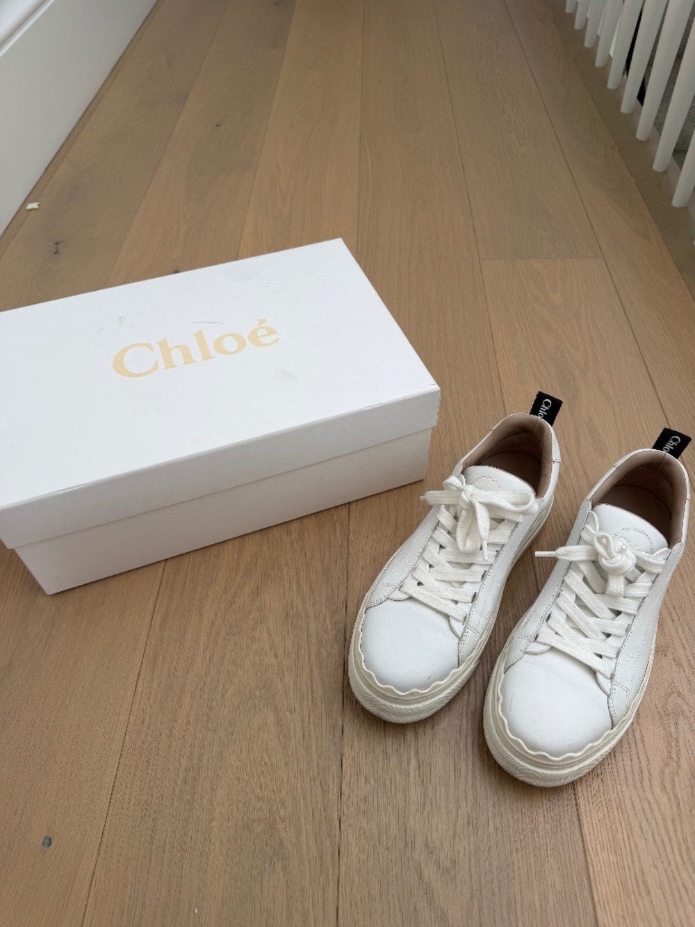 Chloe Scallop Leather Sneakers